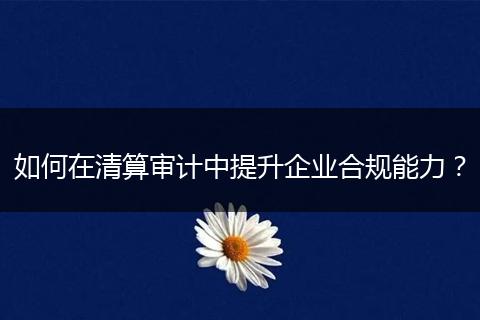 如何在清算审计中提升企业合规能力？