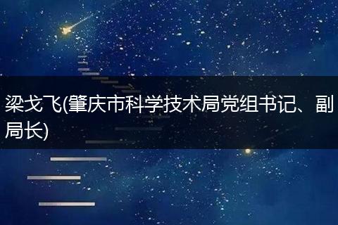 梁戈飞(肇庆市科学技术局党组书记、副局长)