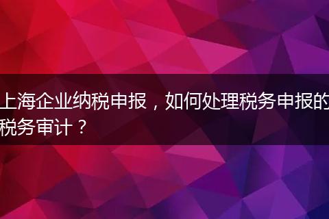 上海企业纳税申报，如何处理税务申报的税务审计？