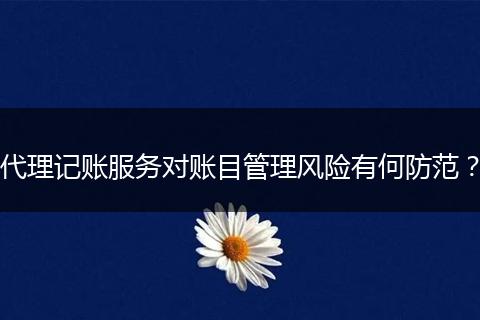 代理记账服务对账目管理风险有何防范？