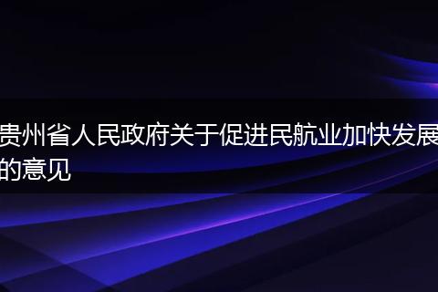 贵州省人民政府关于促进民航业加快发展的意见