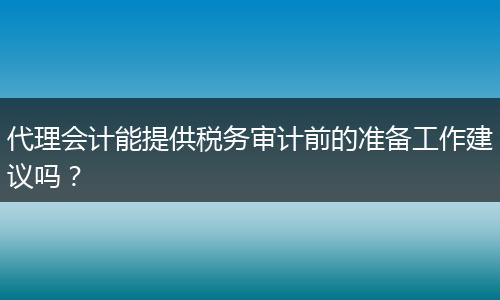 代理会计能提供税务审计前的准备工作建议吗？