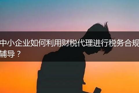 中小企业如何利用财税代理进行税务合规辅导？