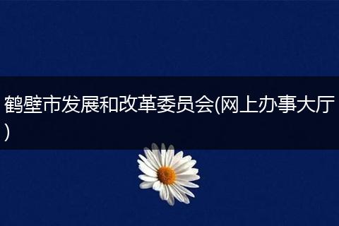 鹤壁市发展和改革委员会(网上办事大厅)