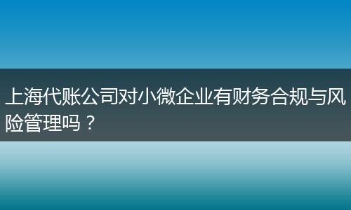 上海代账公司对小微企业有财务合规与风险管理吗？