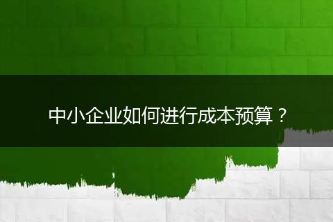 中小企业如何进行成本预算？