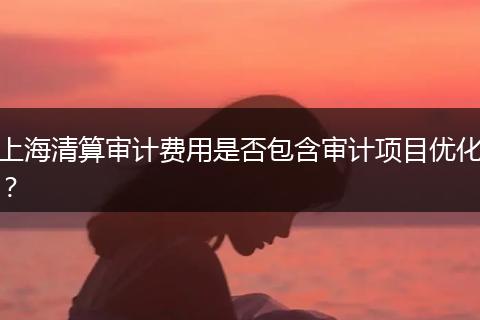 上海清算审计费用是否包含审计项目优化？