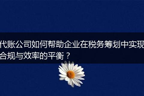 代账公司如何帮助企业在税务筹划中实现合规与效率的平衡？