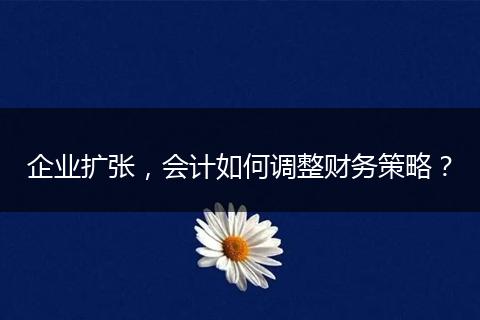 企业扩张，会计如何调整财务策略？