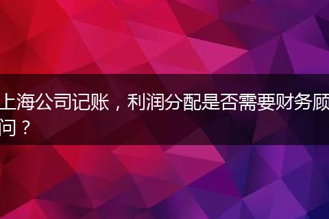 上海公司记账，利润分配是否需要财务顾问？