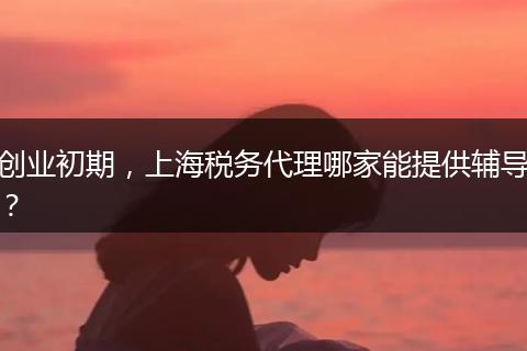 创业初期，上海税务代理哪家能提供辅导？
