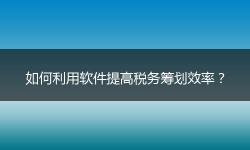 如何利用软件提高税务筹划效率？