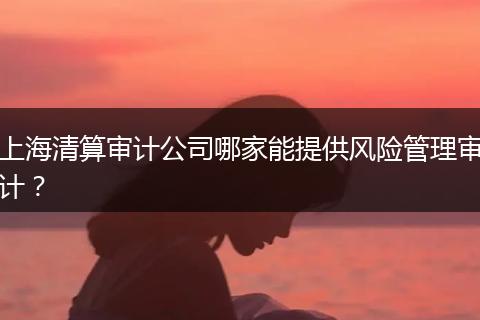 上海清算审计公司哪家能提供风险管理审计？