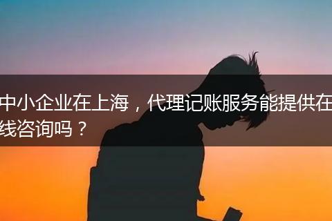中小企业在上海，代理记账服务能提供在线咨询吗？