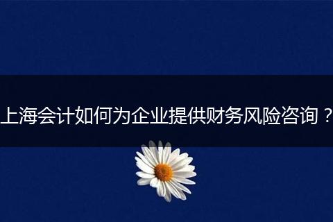 上海会计如何为企业提供财务风险咨询？