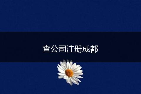 查公司注册成都