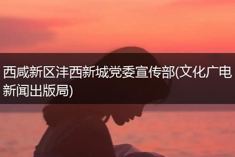 西咸新区沣西新城党委宣传部(文化广电新闻出版局)
