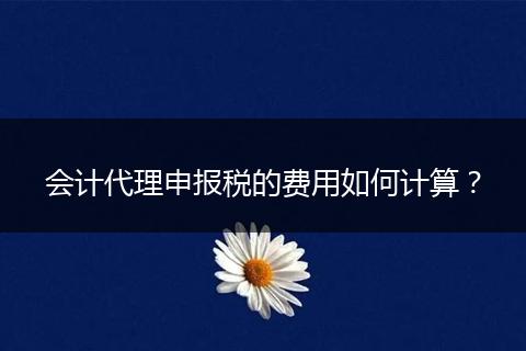 会计代理申报税的费用如何计算？