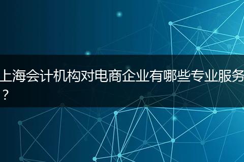 上海会计机构对电商企业有哪些专业服务？