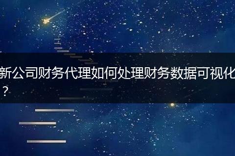 新公司财务代理如何处理财务数据可视化？