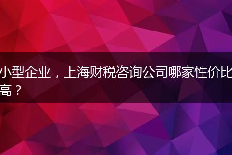 小型企业，上海财税咨询公司哪家性价比高？