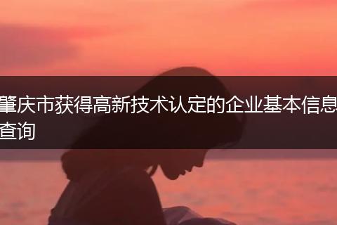 肇庆市获得高新技术认定的企业基本信息查询
