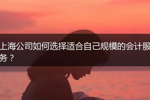 上海公司如何选择适合自己规模的会计服务？