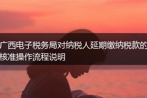 广西电子税务局对纳税人延期缴纳税款的核准操作流程说明