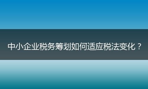 中小企业税务筹划如何适应税法变化？