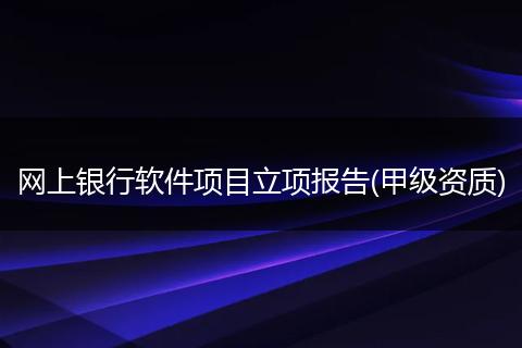 网上银行软件项目立项报告(甲级资质)