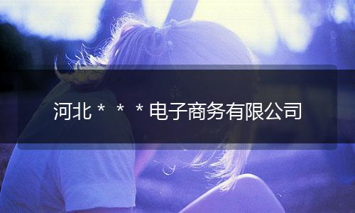 河北＊＊＊电子商务有限公司
