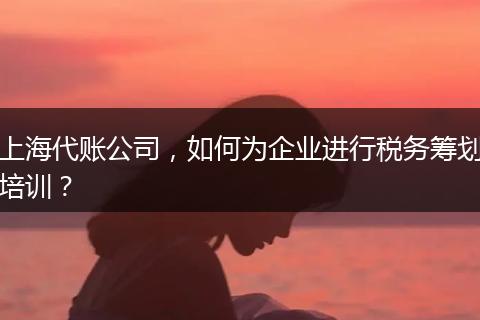上海代账公司，如何为企业进行税务筹划培训？
