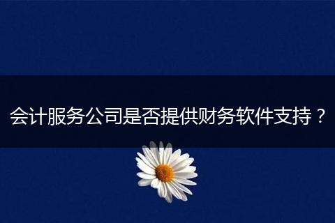 会计服务公司是否提供财务软件支持？