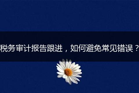 税务审计报告跟进，如何避免常见错误？
