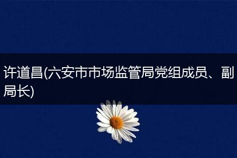 许道昌(六安市市场监管局党组成员、副局长)