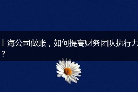 上海公司做账，如何提高财务团队执行力？