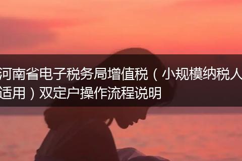 河南省电子税务局增值税（小规模纳税人适用）双定户操作流程说明