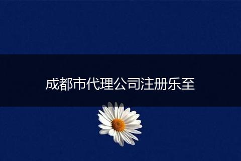 成都市代理公司注册乐至