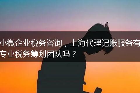 小微企业税务咨询，上海代理记账服务有专业税务筹划团队吗？