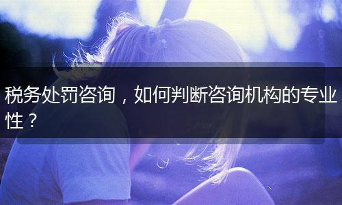 税务处罚咨询，如何判断咨询机构的专业性？
