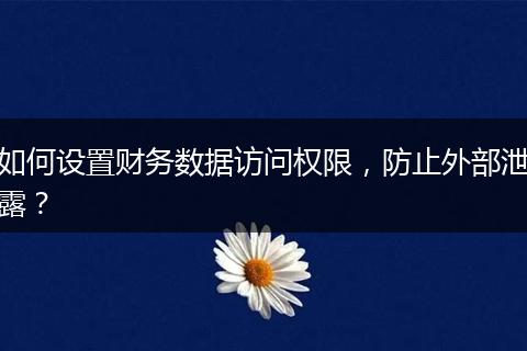如何设置财务数据访问权限，防止外部泄露？