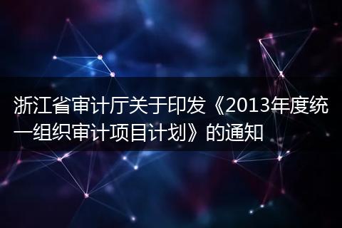 浙江省审计厅关于印发《2013年度统一组织审计项目计划》的通知