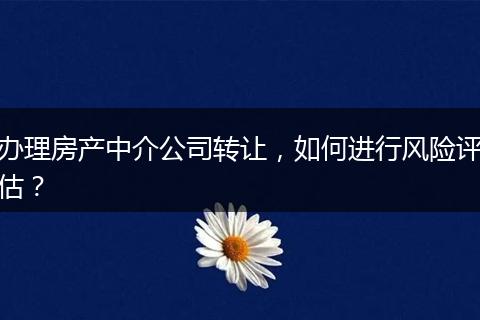 办理房产中介公司转让，如何进行风险评估？