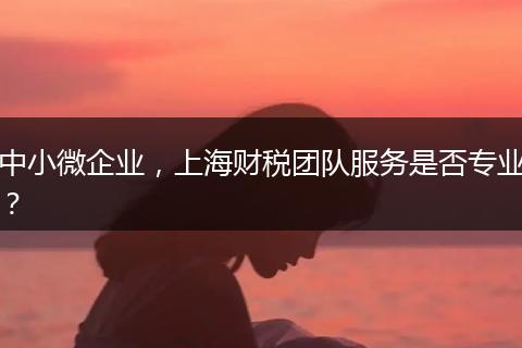 中小微企业，上海财税团队服务是否专业？