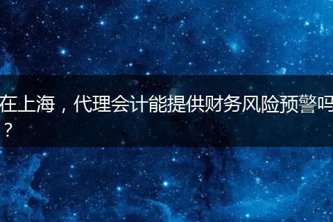 在上海，代理会计能提供财务风险预警吗？