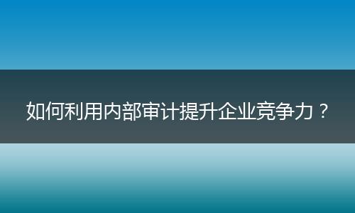 如何利用内部审计提升企业竞争力？