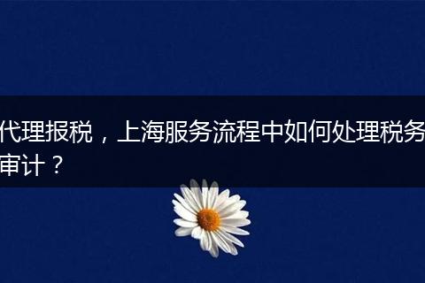 代理报税，上海服务流程中如何处理税务审计？