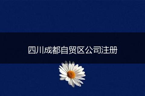 四川成都自贸区公司注册