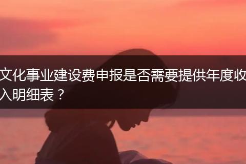 文化事业建设费申报是否需要提供年度收入明细表？