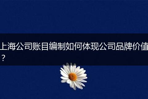 上海公司账目编制如何体现公司品牌价值？